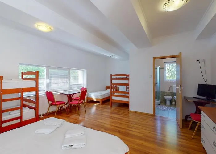 普拉尼纳斯基辛塔尔佩特赫瓦斯酒店 * 代尔尼采