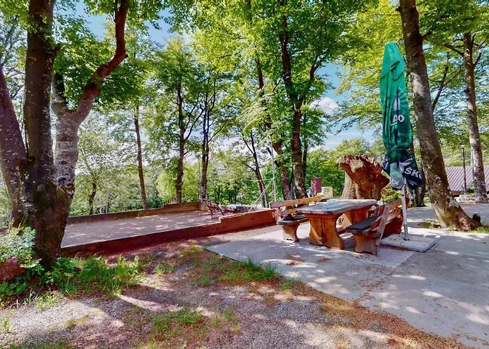 普拉尼纳斯基辛塔尔佩特赫瓦斯酒店 酒店 *