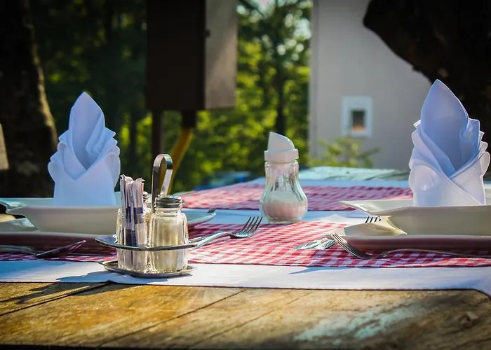 普拉尼纳斯基辛塔尔佩特赫瓦斯酒店 酒店 *