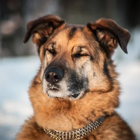 Hotel Planinarski Centar Petehovac Delnice