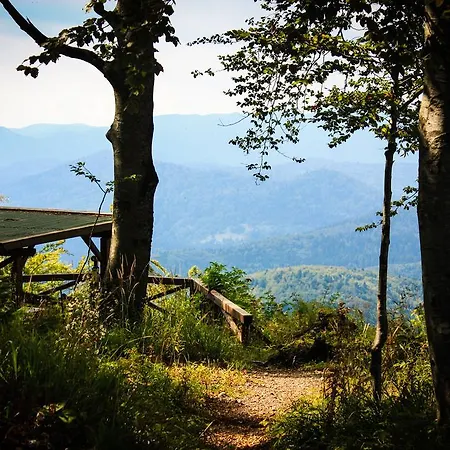 Hotel Planinarski Centar Petehovac